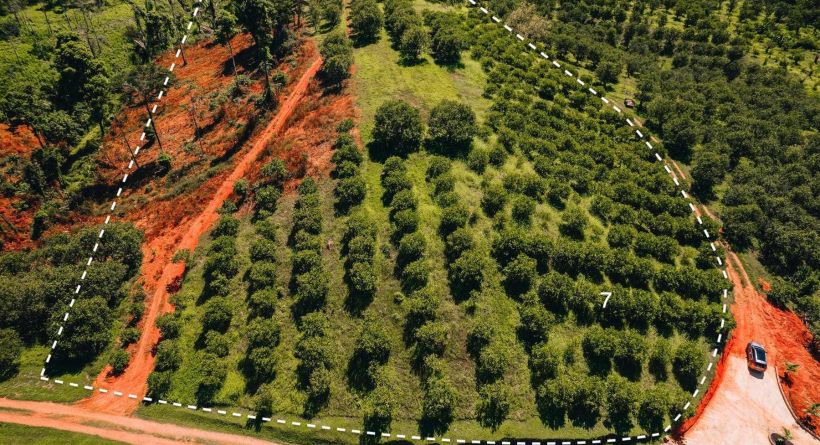 Itzamná Hills, Luxury Hummingbird Highway Hilltop View Lot 7- Sleeping Giant
