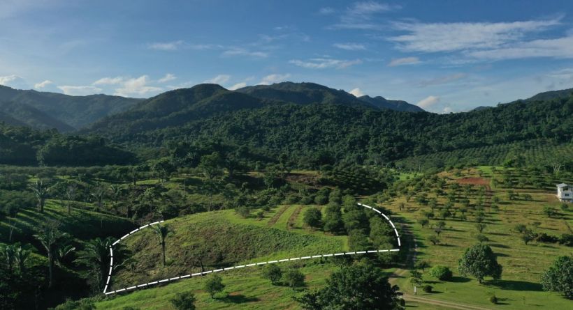 Itzamná Hills Lot 6, Sleeping Giant View Lot, 2.72 Acres with Creek Frontage