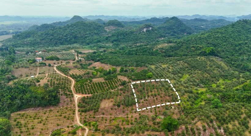 Itzamná Hills Lot 9, Luxury Mountain View, 2.23 Acres with Eco-Park