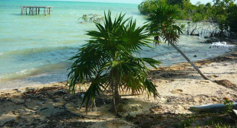 Land for sale in Belize | 1.092 acre of Beach-Front property