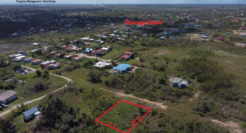 Milpa Area, Ladyville