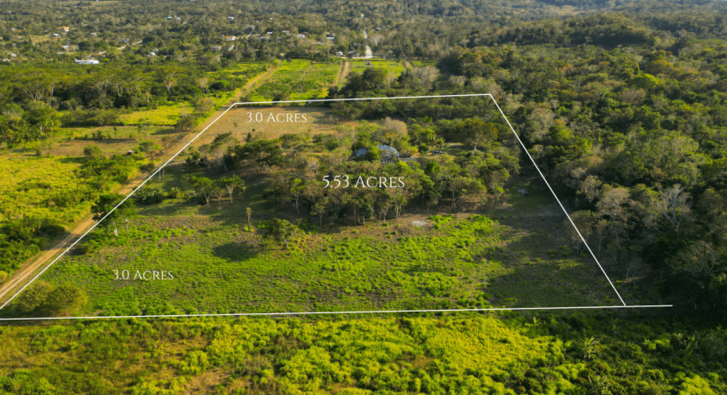 Modern Home For Sale in Bullet Tree