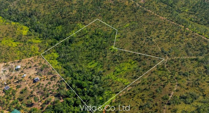 Mountain Pine Ridge 7.556 Acres Property for Sale