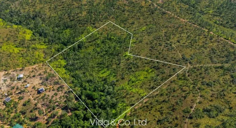 Mountain Pine Ridge 7.556 Acres Property for Sale