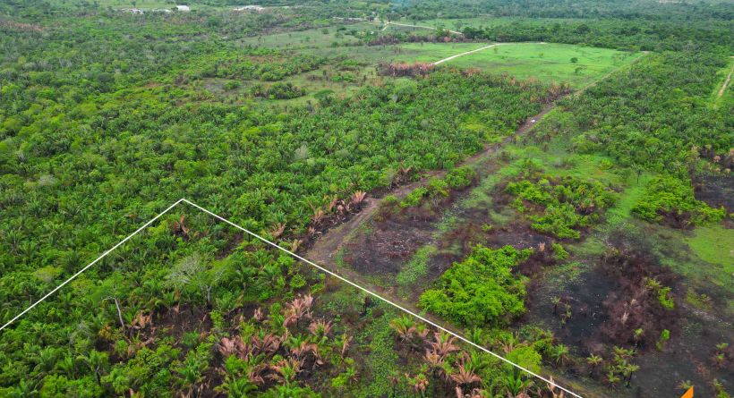 Prime 25-Acre Raw Land in Mount Pleasant Area, Near Belmopan
