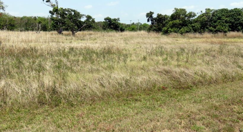 Progresso Heights Lot 1381