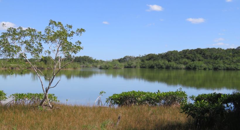 Progresso Heights Lot 362