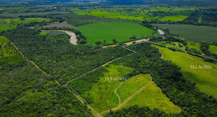 Riverfront Jungle 65 Acre Property