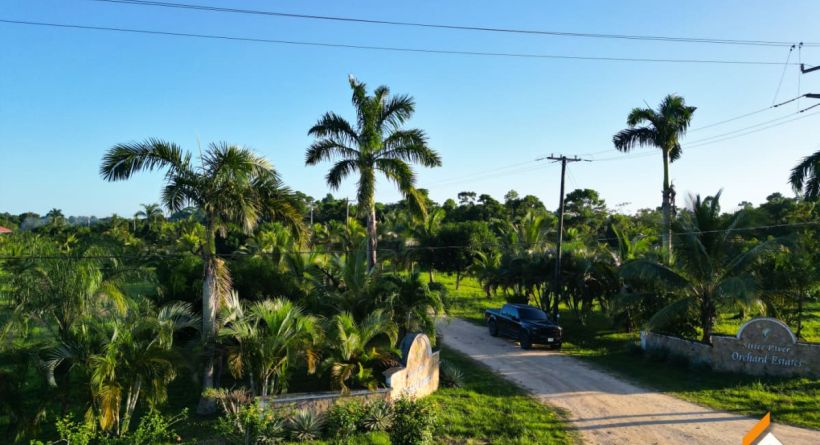 Sittee River Orchard Estate – Exclusive Lots for Sale in Stann Creek District, Belize