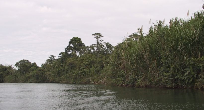 South side Sittee River - 4.5 acre Sittee River Front lots