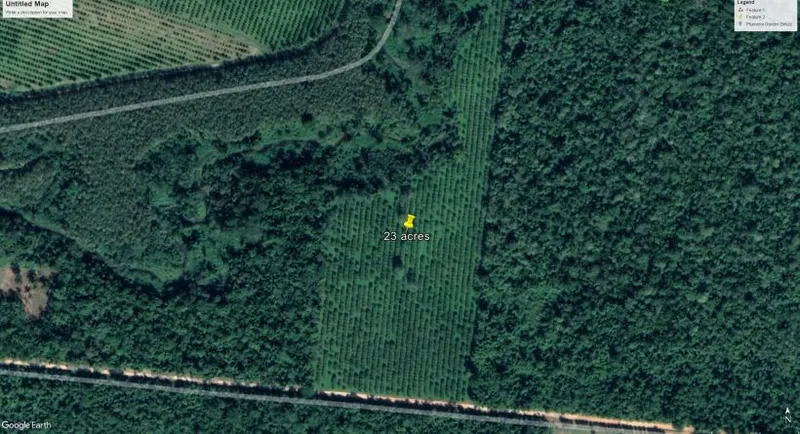ZOLD SOLD 23 acres of planted citrus on the Mayflower Bocawina Road