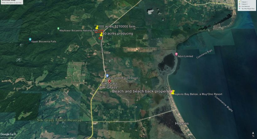 Zold Southern Highway 100 acres with 50 planted in oranges