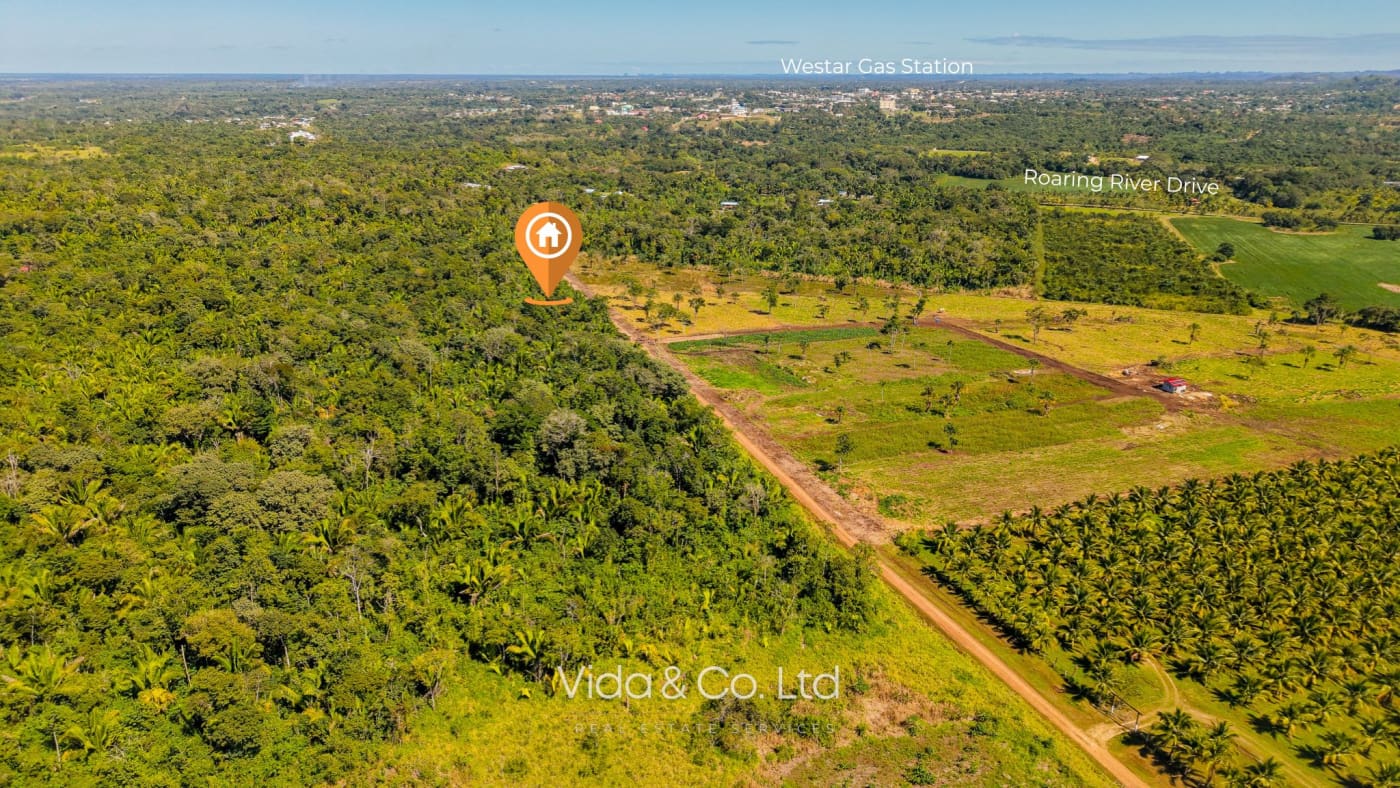 1.37 Acres Virgin Land for Sale in Camalote, Belmopan