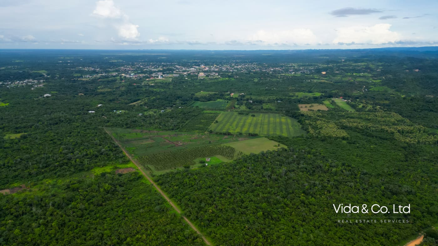20-Acre Farm for Sale in Camalote - Prime Agricultural Land