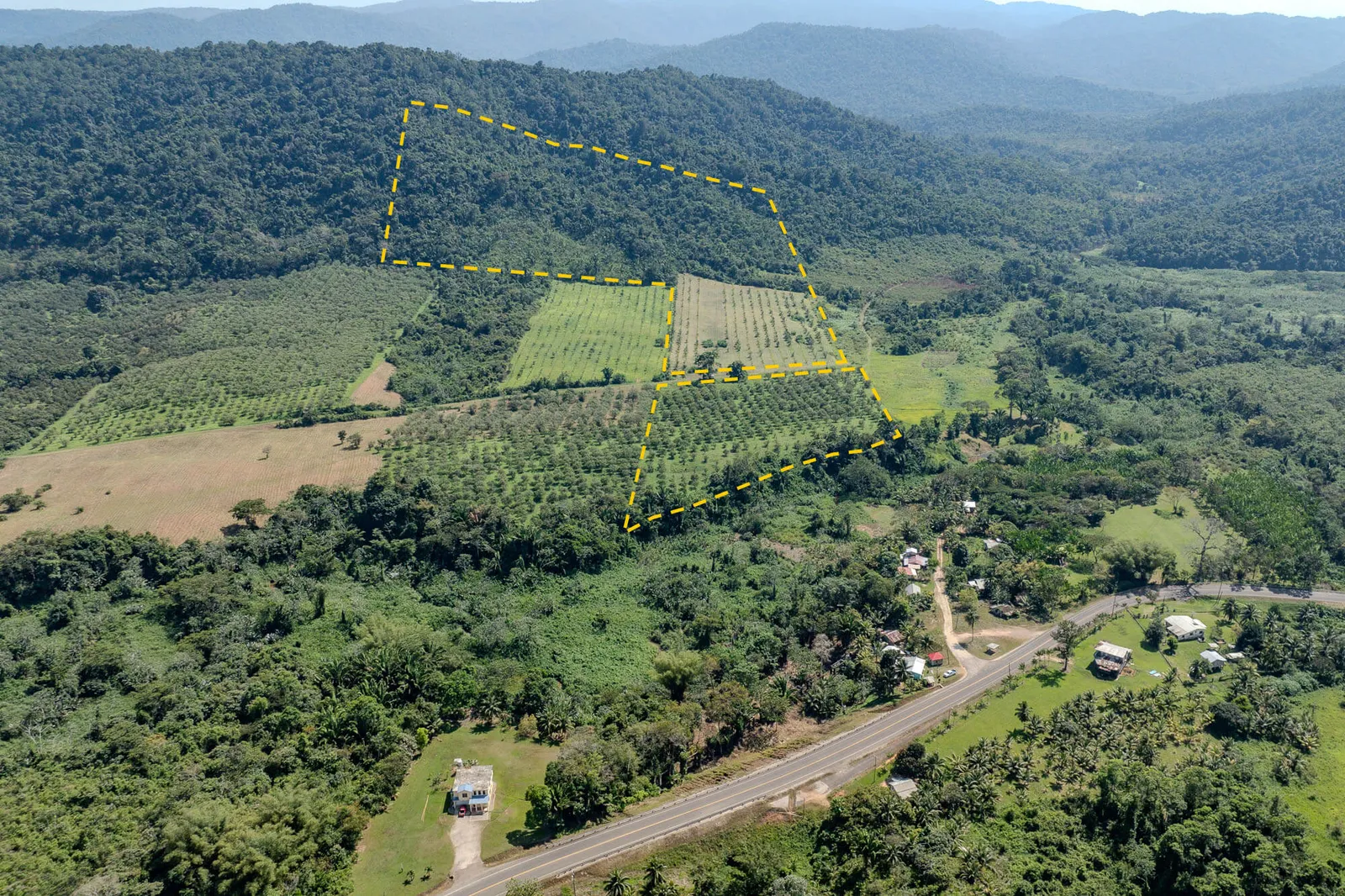 55.21 Acres with Orchards and Stunning Hillside Views on Billy Barquedier Creek