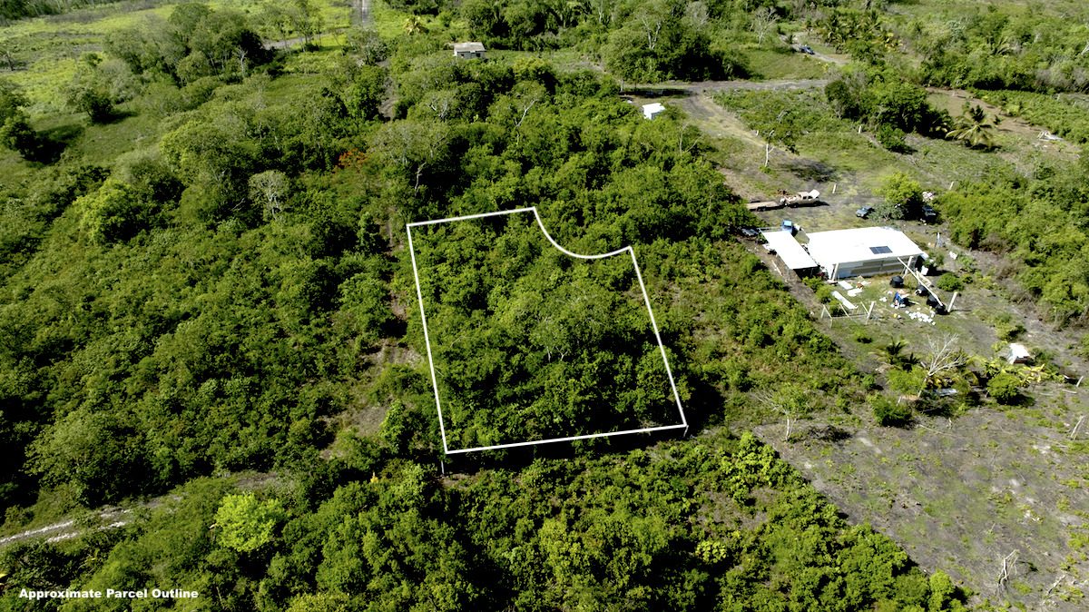 Charlie Anger Estate Near Bullet Tree Falls, Cayo – Lot 59