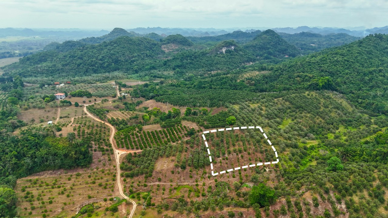Itzamná Hills Lot 9, Luxury Mountain View, 2.23 Acres with Eco-Park
