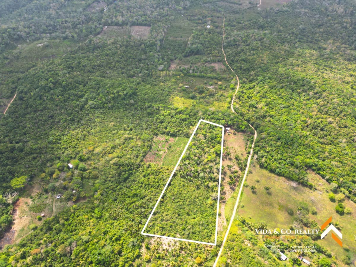 Discover Your Benque Viejo Oasis: 6.08 Acres of Untapped Potential