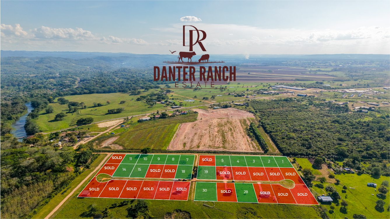 Half-Acre Lots Starting at $40,000 USD – Danter Ranch Estate, Near Spanish Lookout