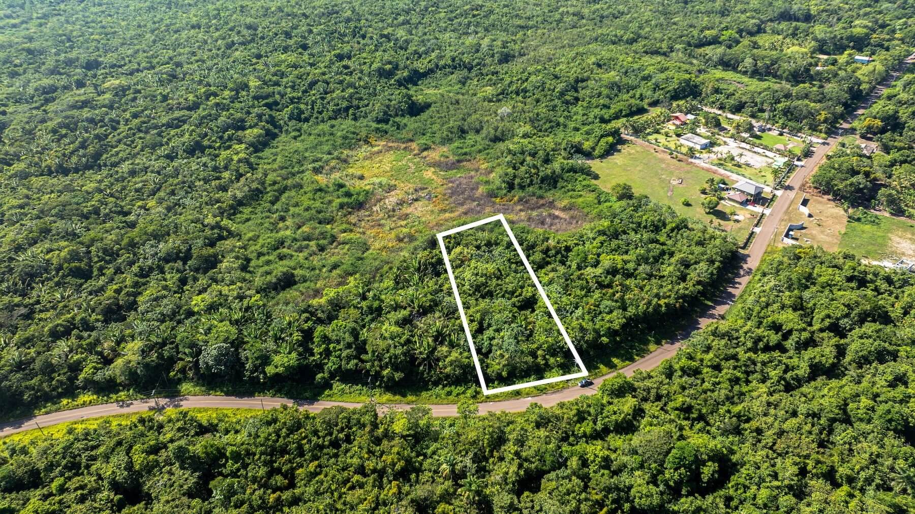 Parcel along the Old Northern Hwy., Short Drive to Phillip Goldson Hwy., Belize