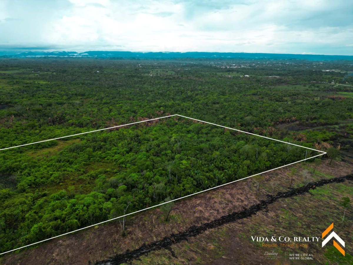 25 Acres of Land for Sale Near Belmopan, Belize Mount Pleasant