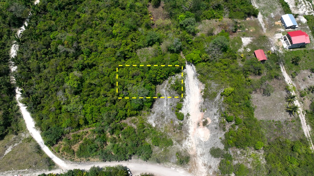 Residential Lot in San Ignacio South – Ready for Development