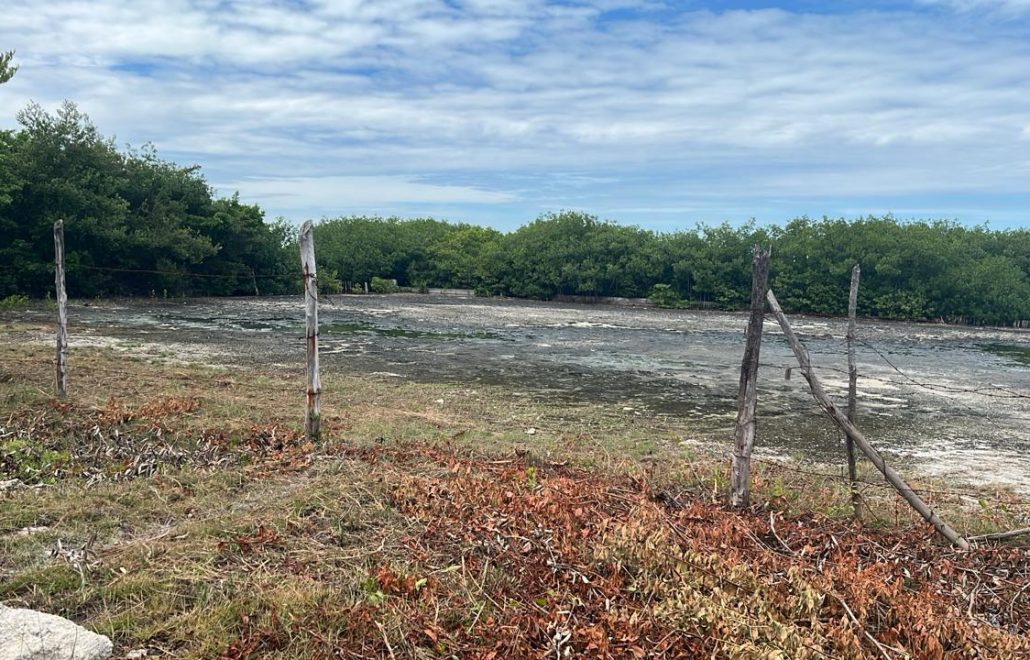 Three Lagoon front Properties for Sale – Three Side-by-Side Lots on Main Road, Near Belizean Shores Resort