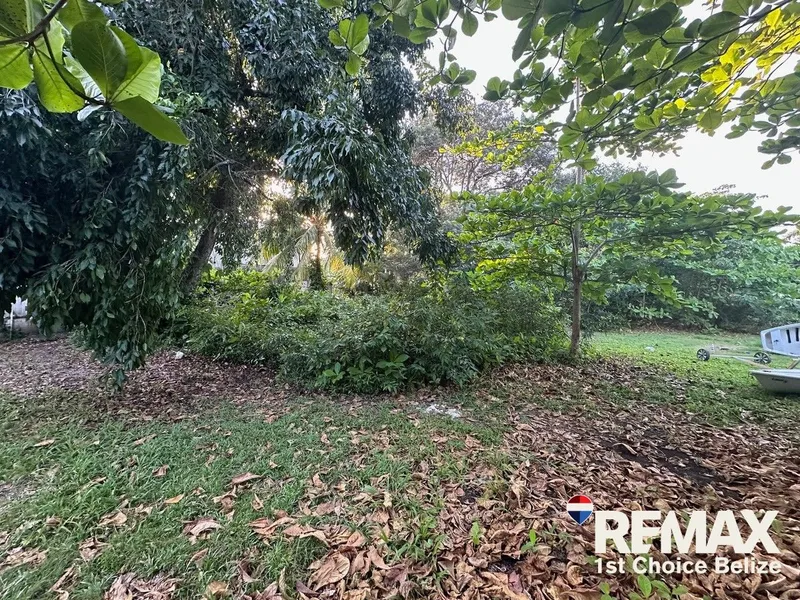 Three Residential and Commercial Large Lots In Placencia Village