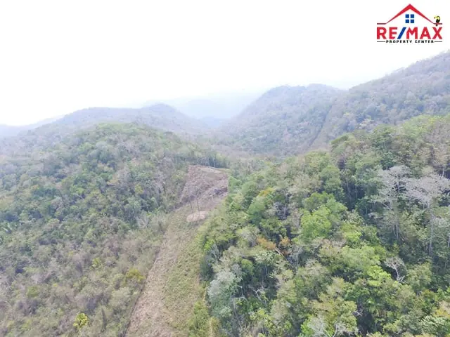 #4007 – 91 Acre Jungle Property in Western Belize