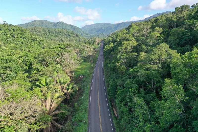 #4139 – 48 Acres Along the Scenic Hummingbird Highway