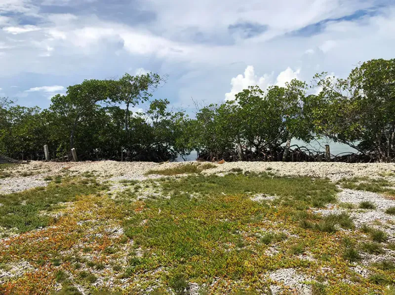 #4140 – Exclusive 2-Acre Private Island in Belize – Bodden Caye