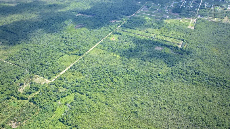 #4142 – 13.5 Acres of Land for Sale Near the Coastal Highway in Hope Creek, Belize