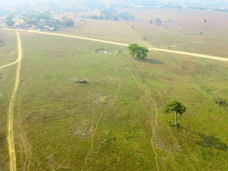 #4213 – 151 ACRES OF LAND + 500′ BELIZE RIVER FRONTAGE near Spanish Lookout, Cayo District, Belize