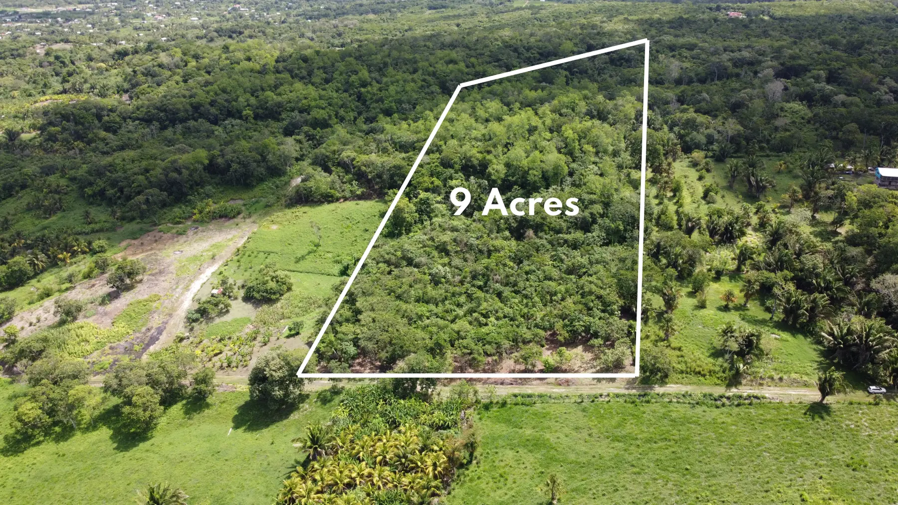 #4233 – Off Grid Homestead Opportunity, 9 Acres of Land near Bullet Tree Village, Cayo District, Belize
