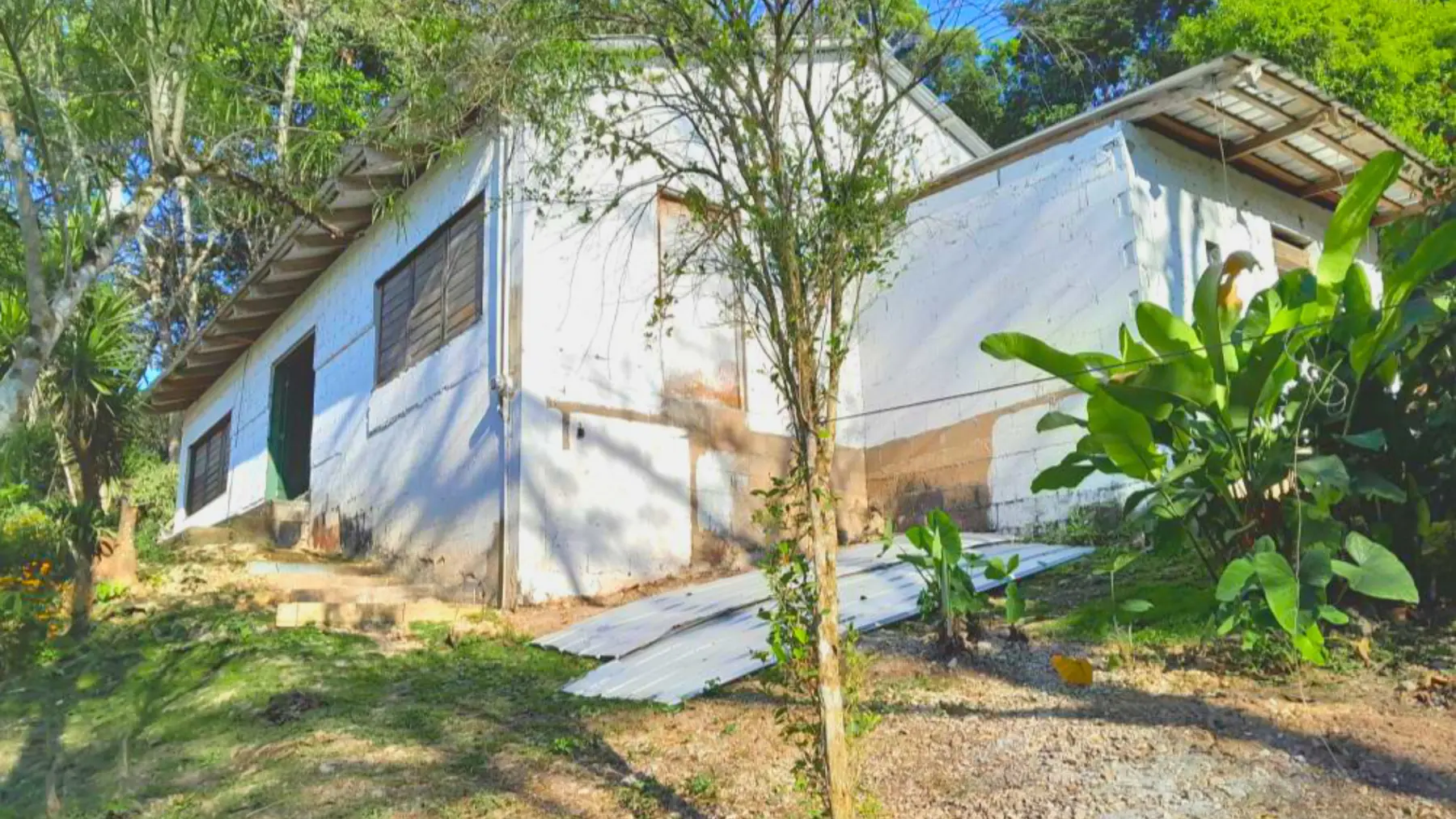 # 4234 – Chial Sanctuary: A Two-Acre Haven for Homesteaders, Healers, and Eco-Retreat Dreamers – Cayo District, Belize