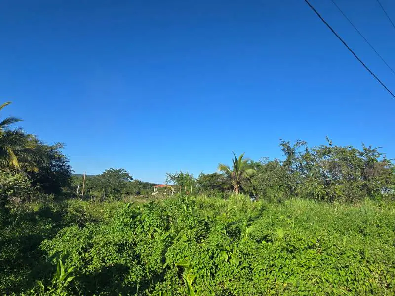 #4237 – Residential Lot in Bullet Tree Falls Village – Utilities Available – Cayo District, Belize
