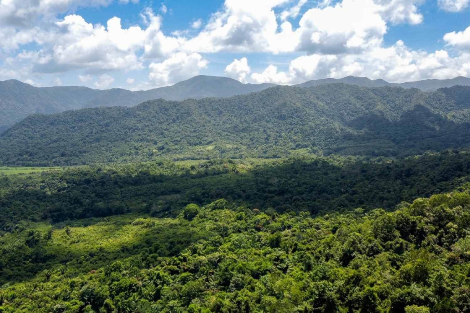 #4246 – 26.24 Acres with Year-Round Creek & 618′ of Highway Frontage | Hummingbird Highway, Stann Creek, Belize