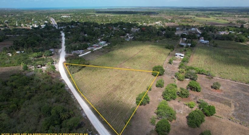 Tranquil 2.9 Acre Property with 600 Ft Road Frontage In San Joaquin, Corozal