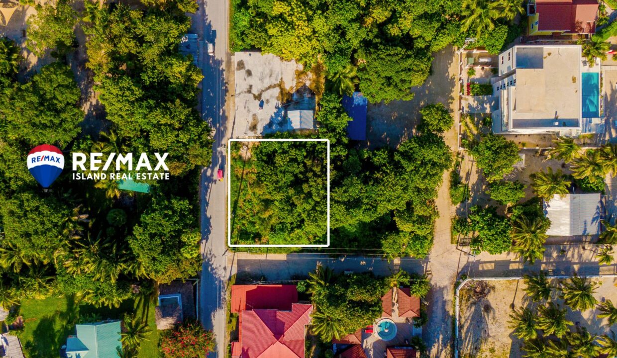 Tres Cocos San Pedro Land for Sale – 75×75 Main Road Lot