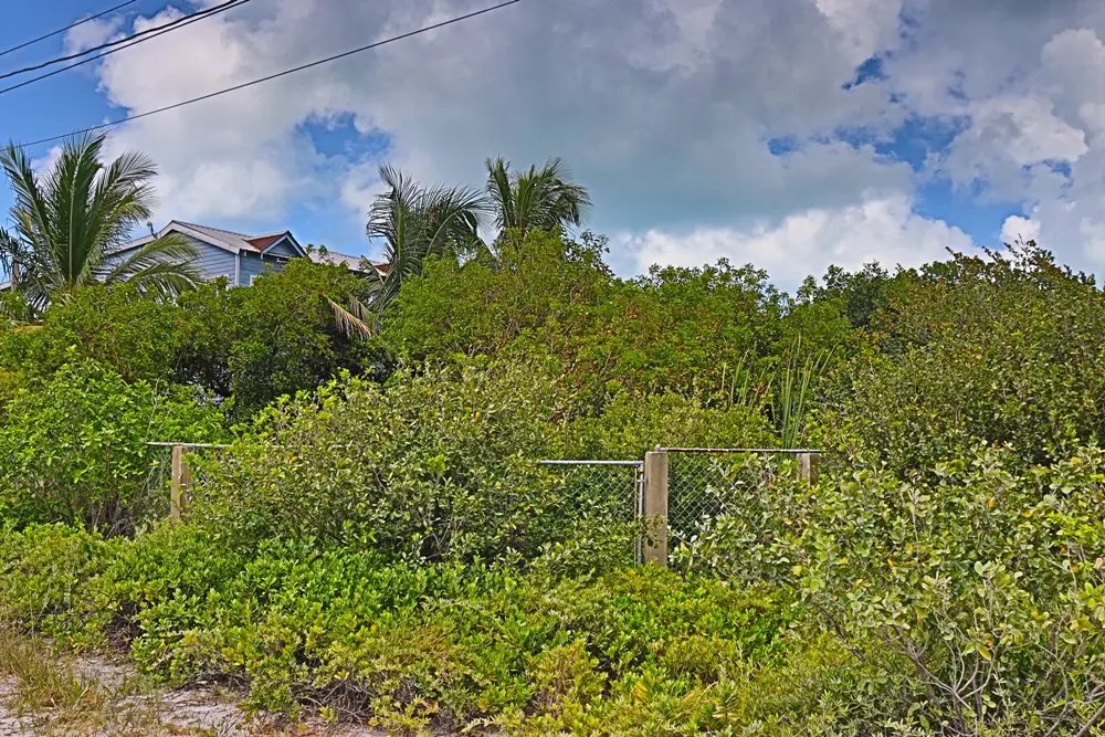 Triple Frontage Corner Lot