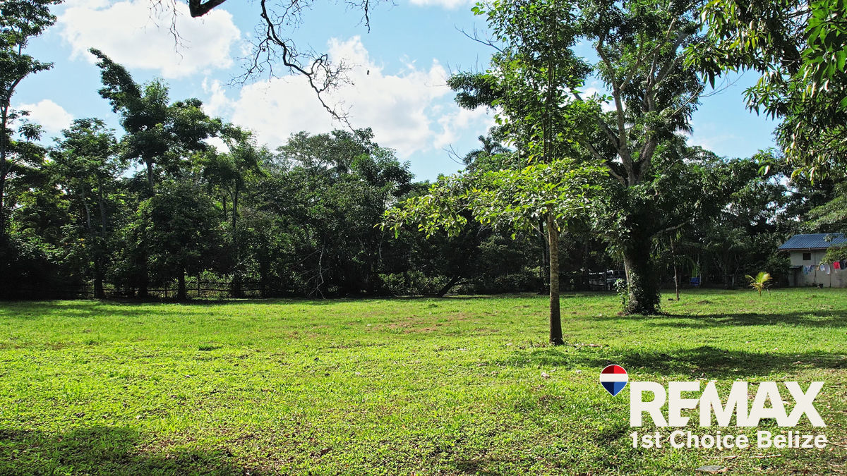 L3602- A - Vacant Lot on Belize River Burrel Boom