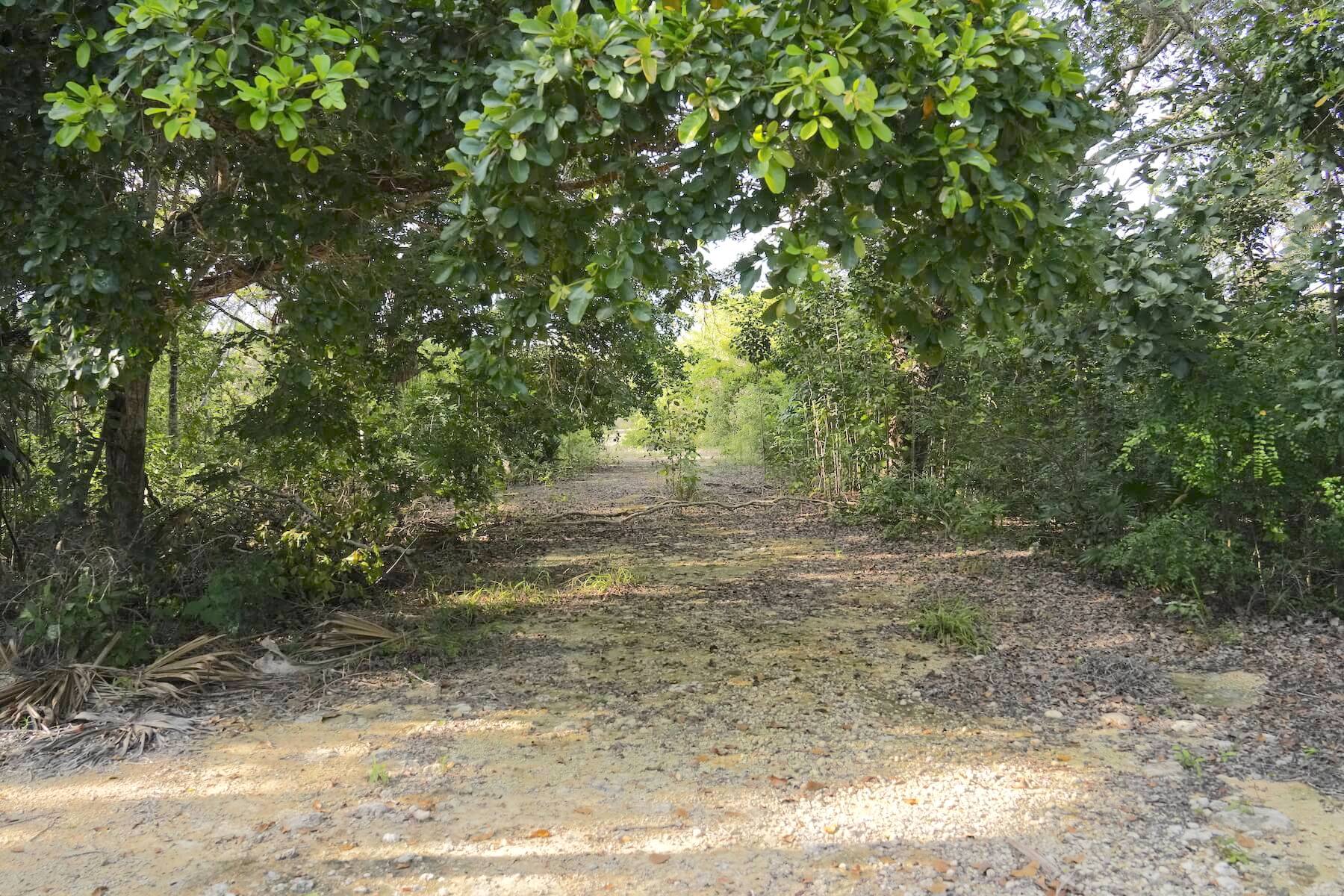 INVESTMENT OPPORTUNITY-Orchid Bay Lot 1106, 1/4 Mile(+/-) from the Caribbean Sea