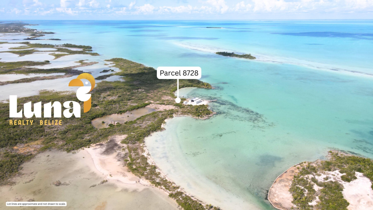 West Ambergris Caye Beachfront Land for Sale - Parcel 8728 | 105 Ft of Crystal-Clear Beachfront | Seller Financing Available