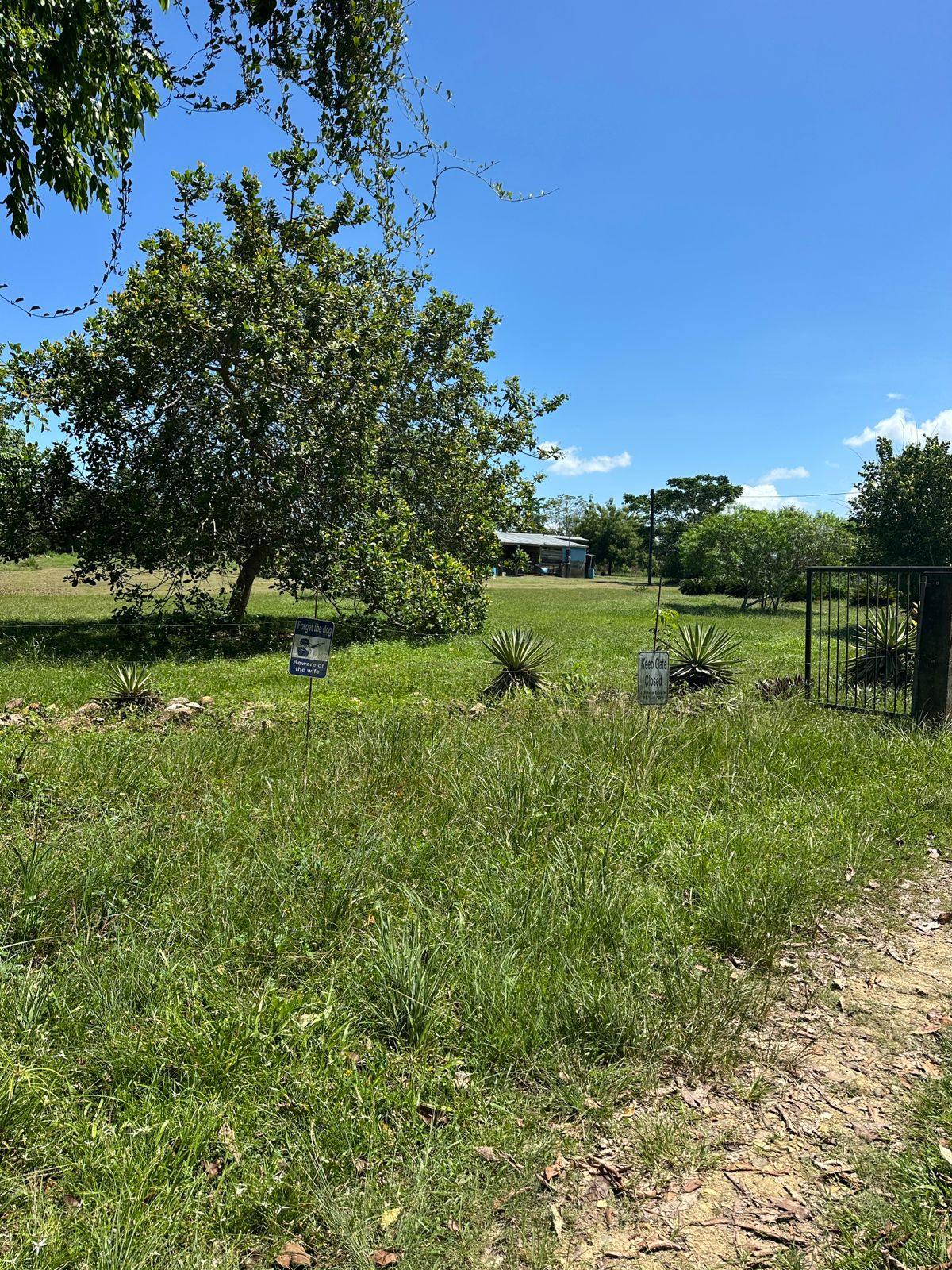15 Acre Hobby Farm and Homestead off the Hummingbird Highway