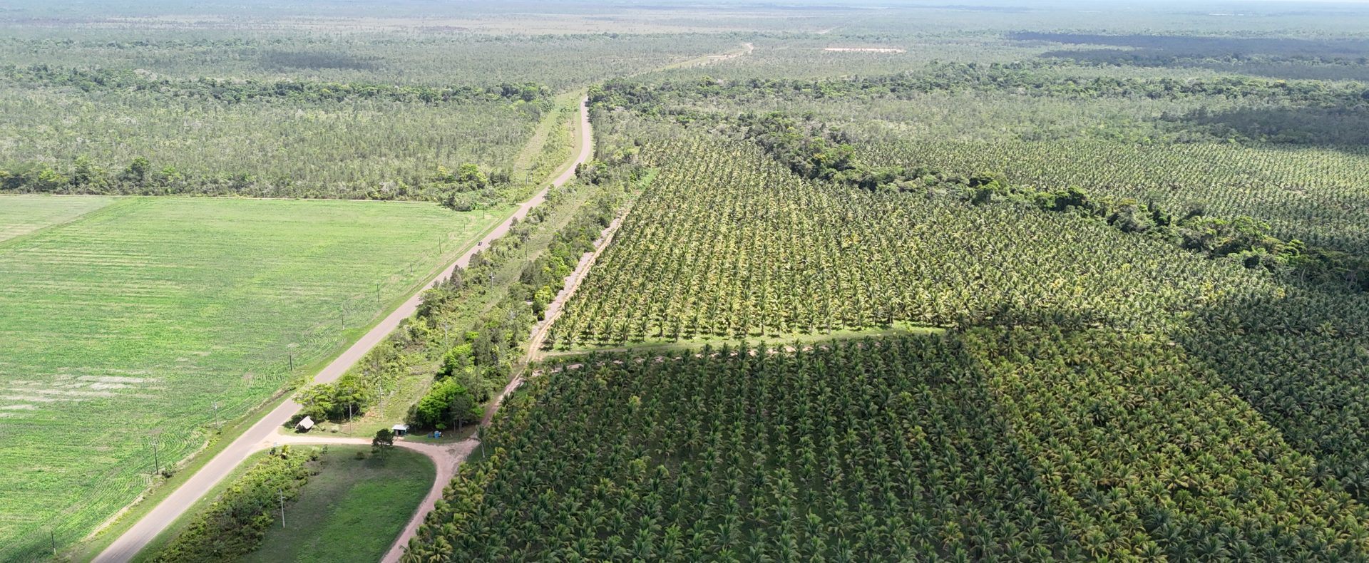 820-Acre Agricultural Estate for Sale – Maya Centre, Stann Creek