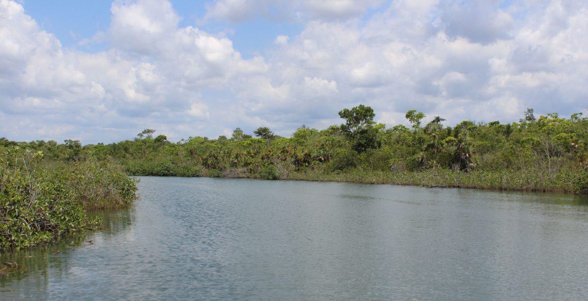 100 Acre parcel located near Mango Creek (Stann Creek)