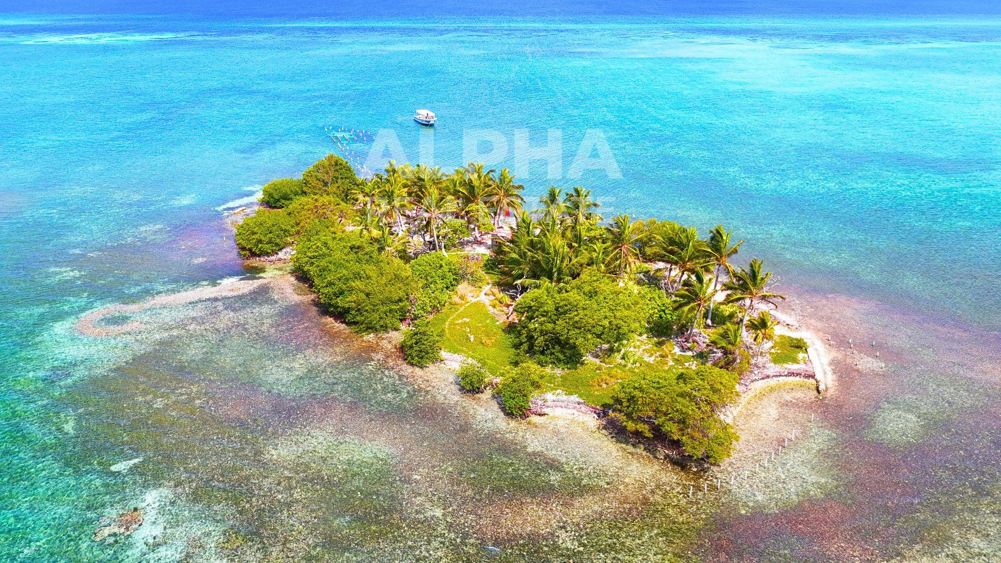 0.494-acre private island, Lighthouse Reef Atoll.