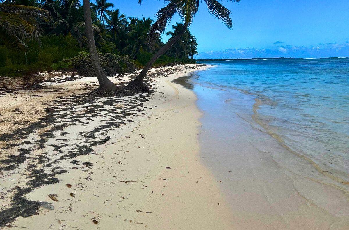 40.09 Acres of Prime Land in North Ambergris Caye – A Rare Gem for Investors and Visionaries
