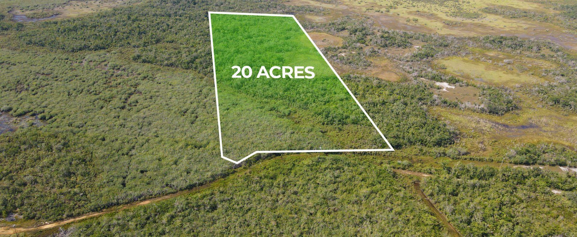 19.391 Acres Near Mile 8 Belize | Prime Investment Land