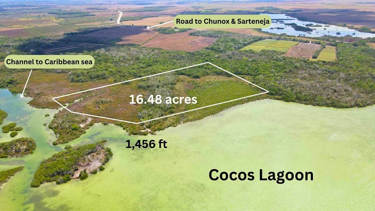 16.48 acres Lagoon front- Progresso, Corozal